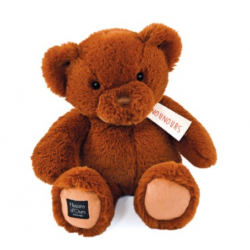 peluche d'ourson